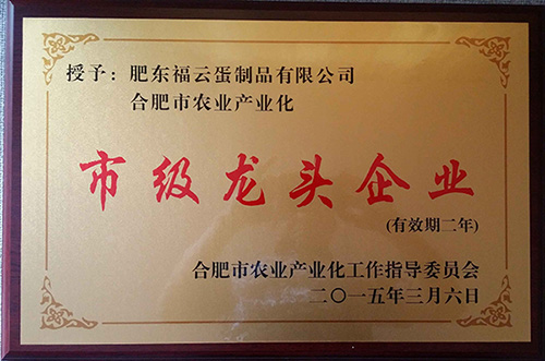 我司被評為龍頭企業